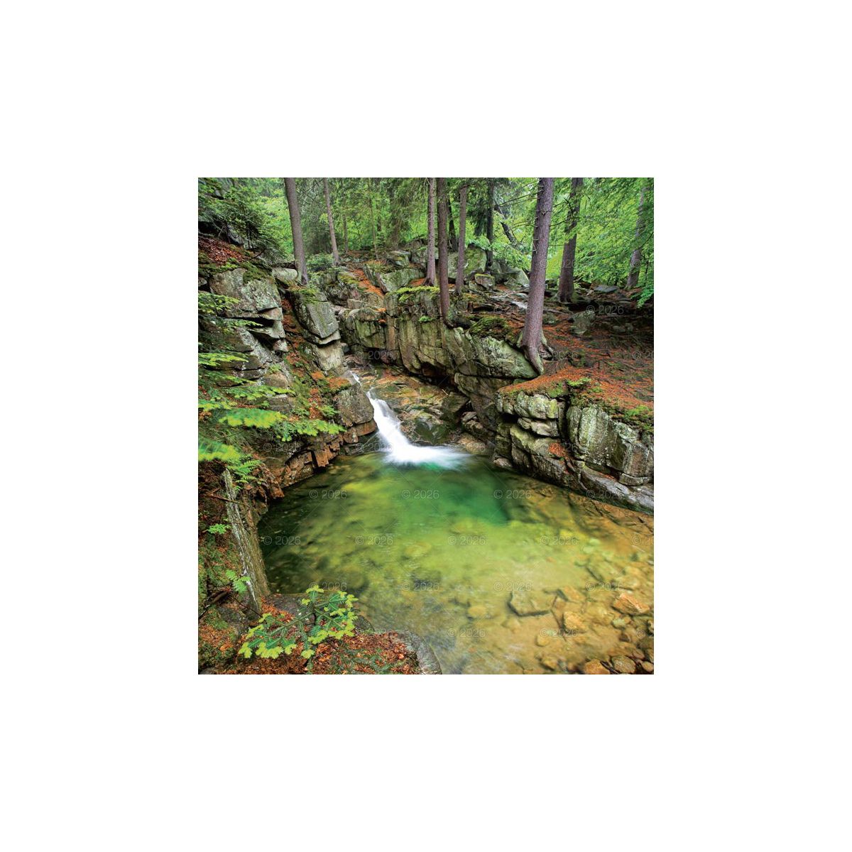 Kalendarz ścienny (401000) k:2915-377 MAGICZNA POLSKA 13-planszowe 2024 320mm x 470mm Lucrum (RW02)