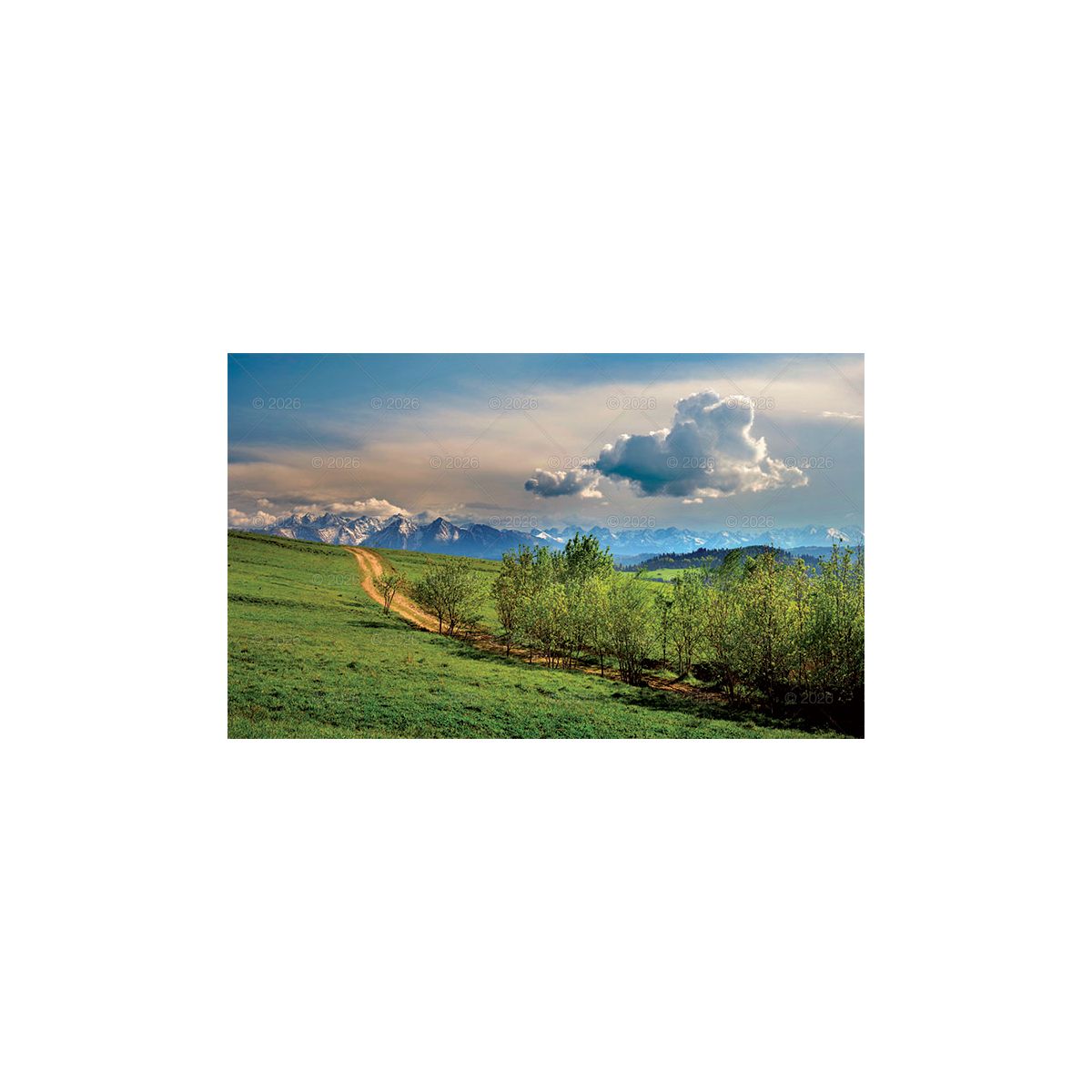 Kalendarz ścienny trójdzielny 320mm x 860mm Lucrum (KT04)