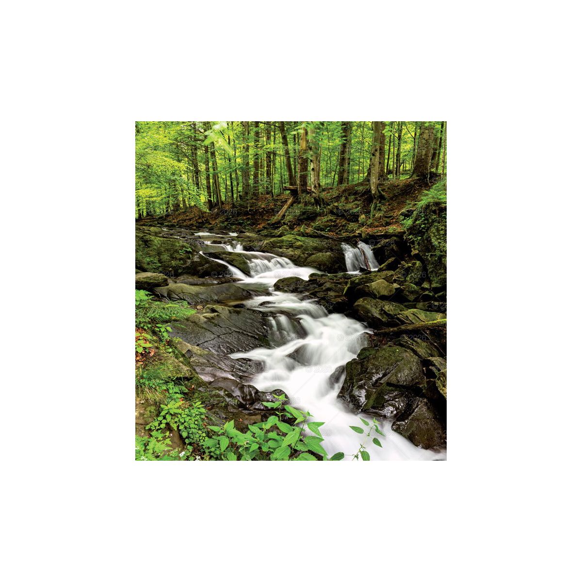 Kalendarz ścienny (401000) k:2915-377 MAGICZNA POLSKA 13-planszowe 2024 320mm x 470mm Lucrum (RW02)