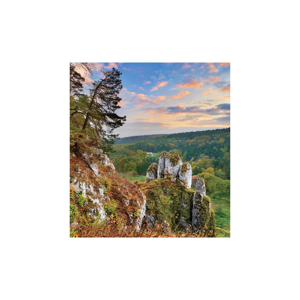 Kalendarz ścienny (401000) k:2915-377 MAGICZNA POLSKA 13-planszowe 2024 320mm x 470mm Lucrum (RW02)