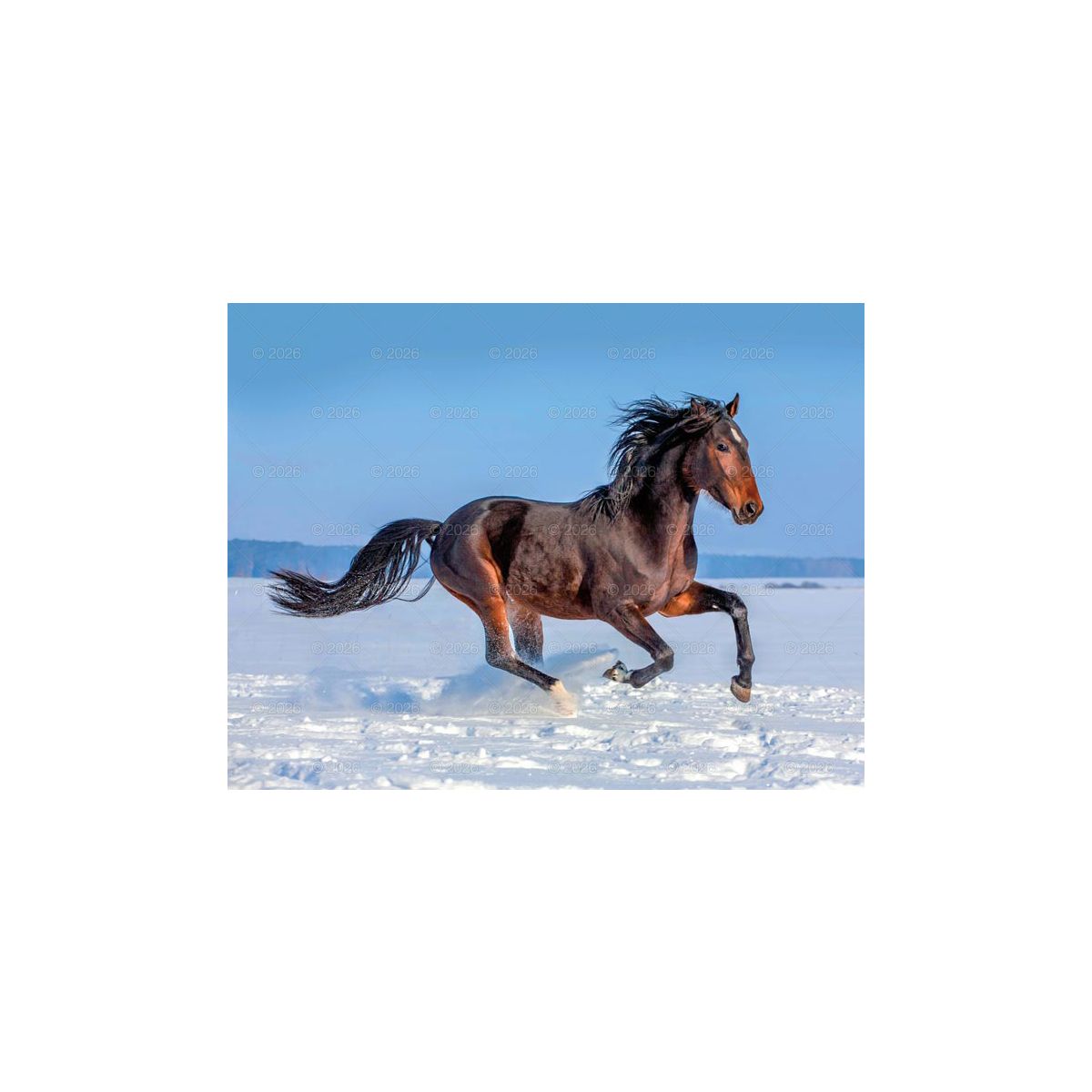 Kalendarz ścienny (401000) k:2915-377 13-planszowe 320mm x 470mm Lucrum (RW14)
