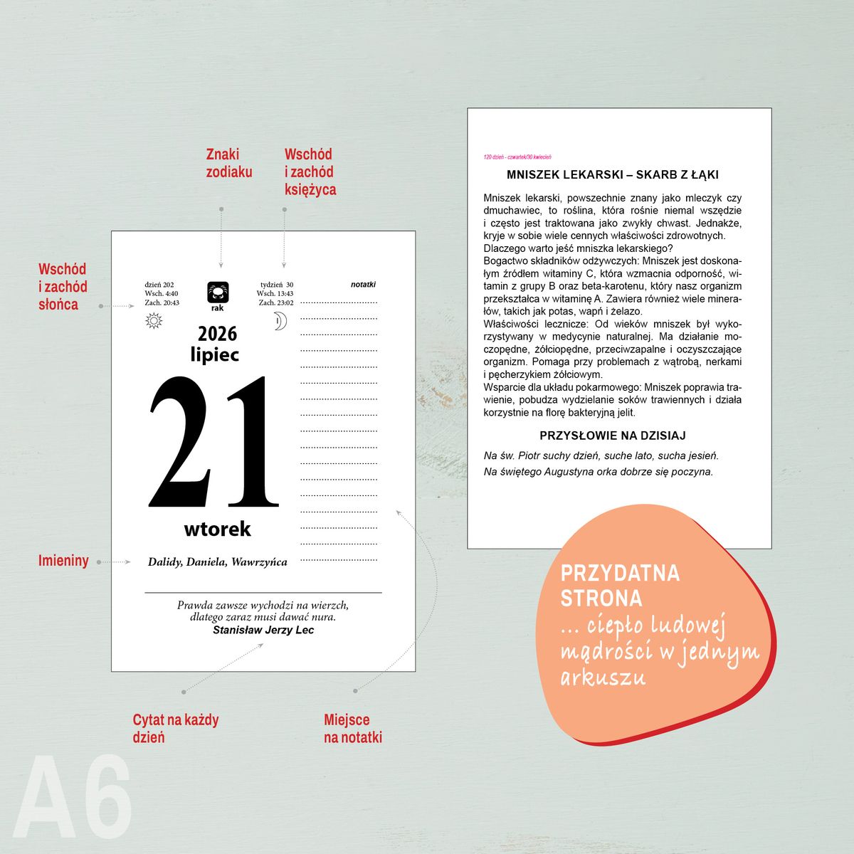 Kalendarz ścienny ZDZIERAK FAMILIJNY A6 Press