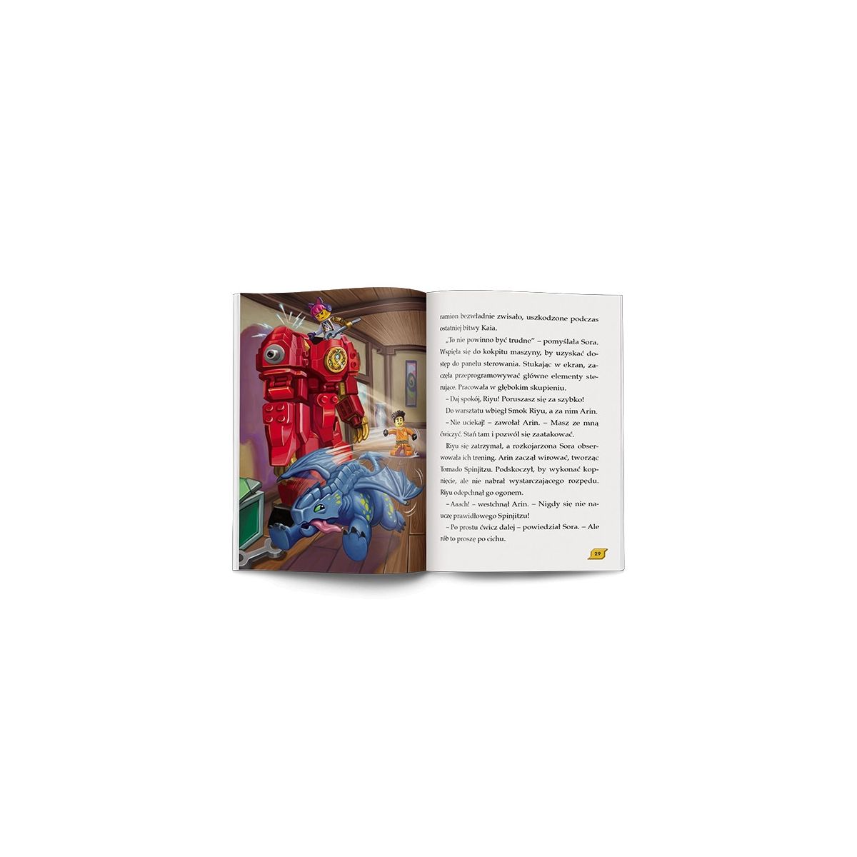 Książeczka edukacyjna LEGO® NINJAGO®. Moce i zdolności Ameet (LNR 6728)