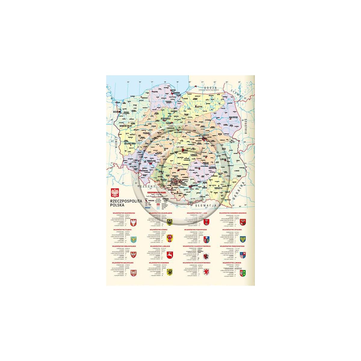 Kalendarz książkowy (terminarz) Vivella terminarz B5 172mm x 240mm Lucrum (51T-D)
