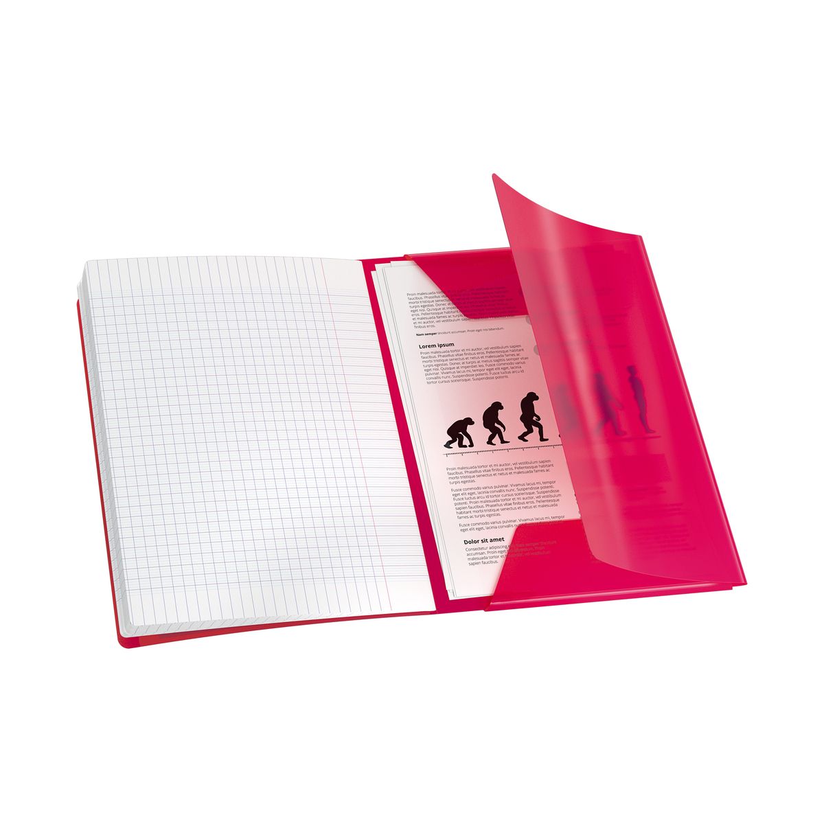Zeszyt EASYBOOK A5 60k. 90g linia Oxford (400146694)