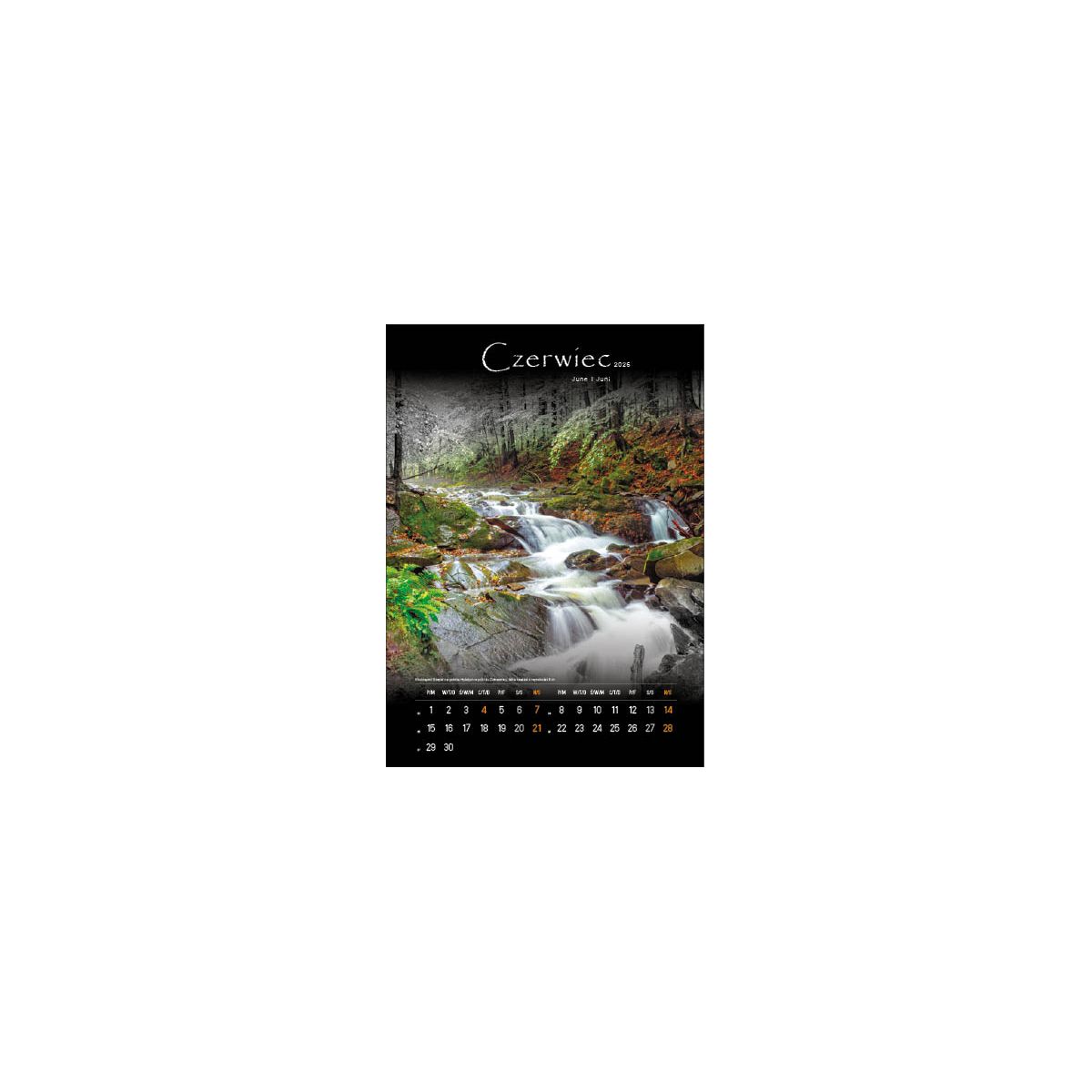 Kalendarz ścienny TAJEMNICZE BIESZCZADY WIELOPLANSZOWY 330mm x 500mm Jotan (WP127)