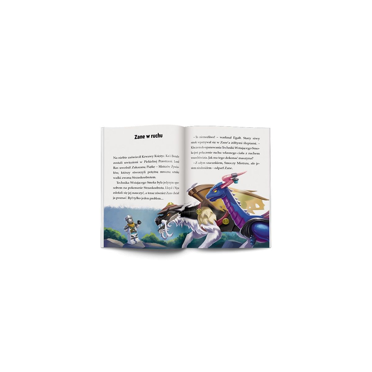 Książeczka edukacyjna LEGO® NINJAGO®. Moce i zdolności Ameet (LNR 6728)