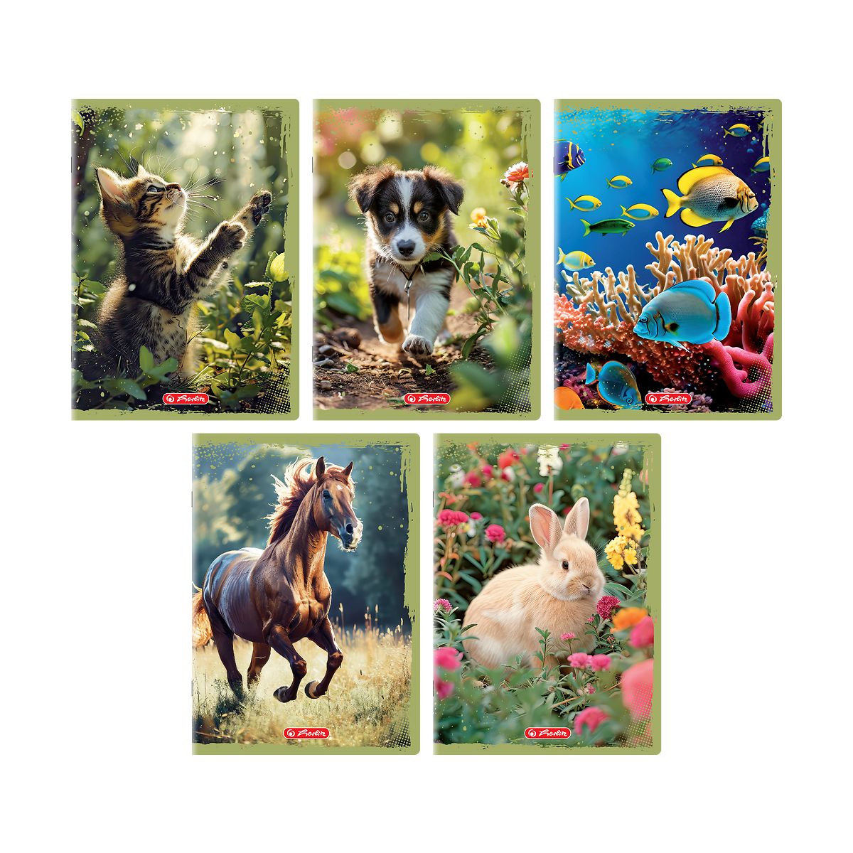 Zeszyt Animals A5 16k. 70g gładki Herlitz (400196854)