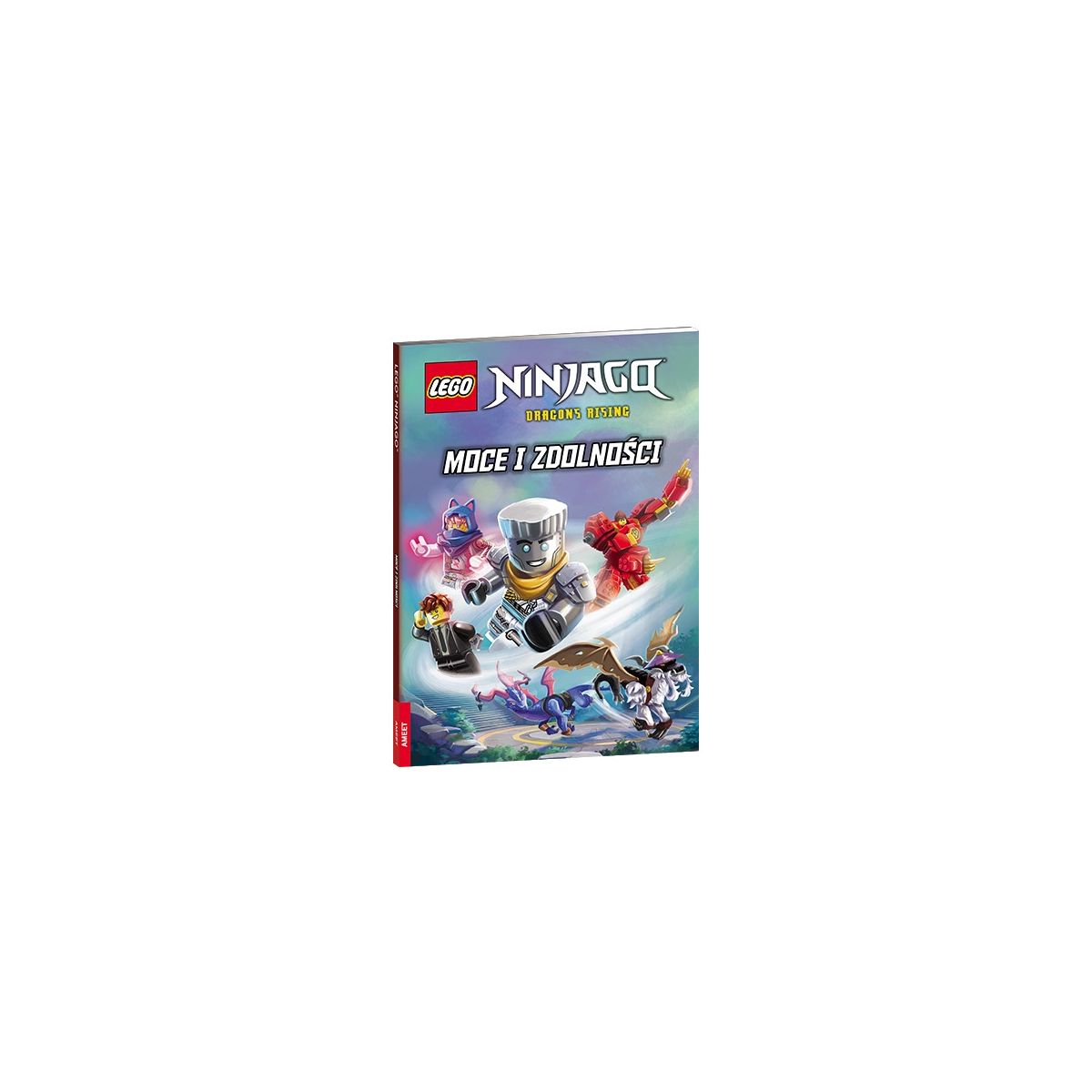 Książeczka edukacyjna LEGO® NINJAGO®. Moce i zdolności Ameet (LNR 6728)