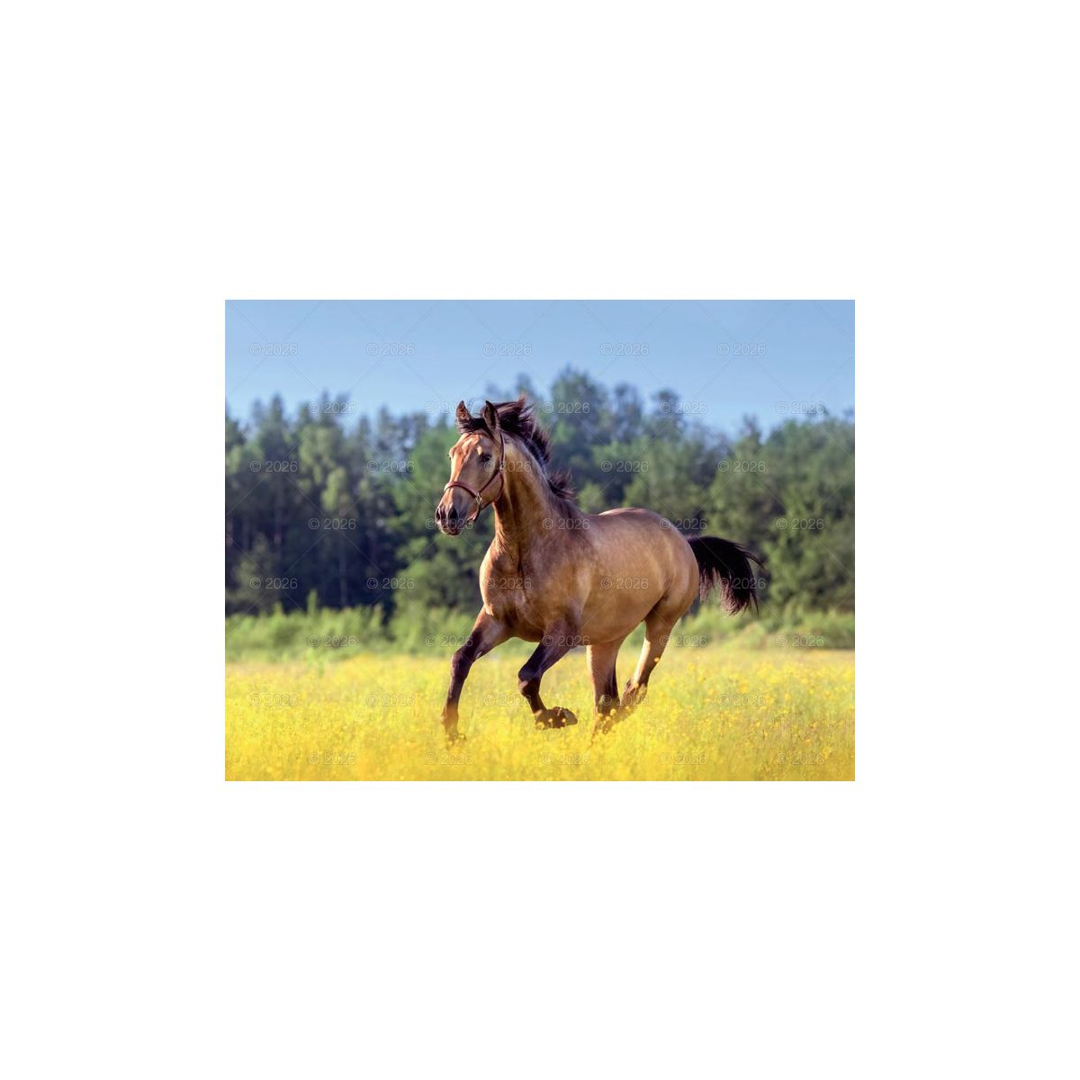 Kalendarz ścienny (401000) k:2915-377 13-planszowe 320mm x 470mm Lucrum (RW14)