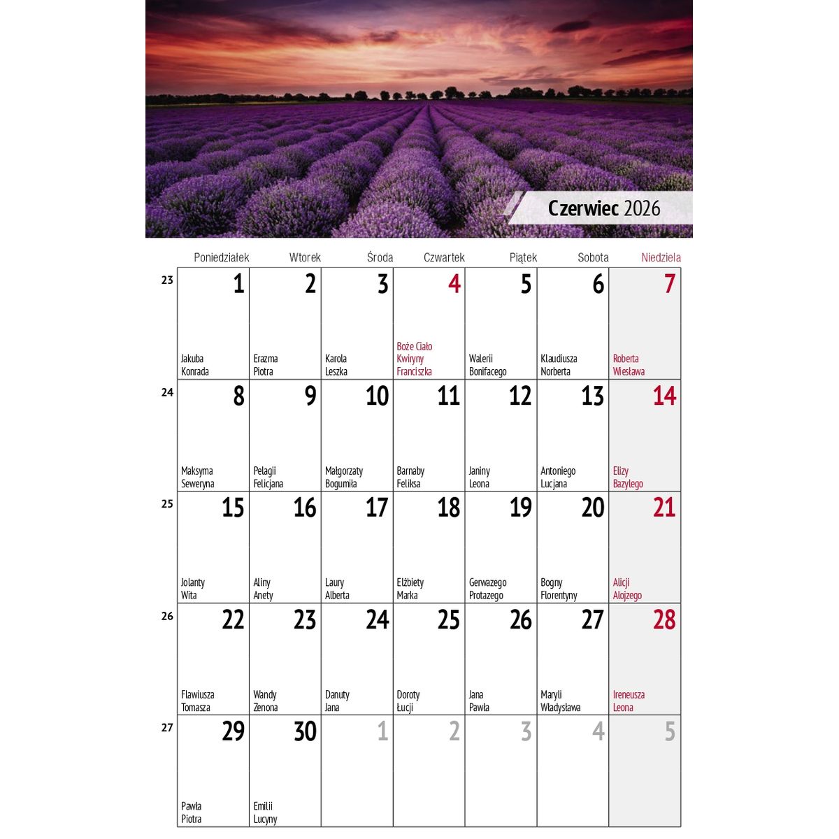 Kalendarz biurkowy (308046) k:510-83 miesięczny Pejzaże 240mm x 150mm Press (5904830713602)