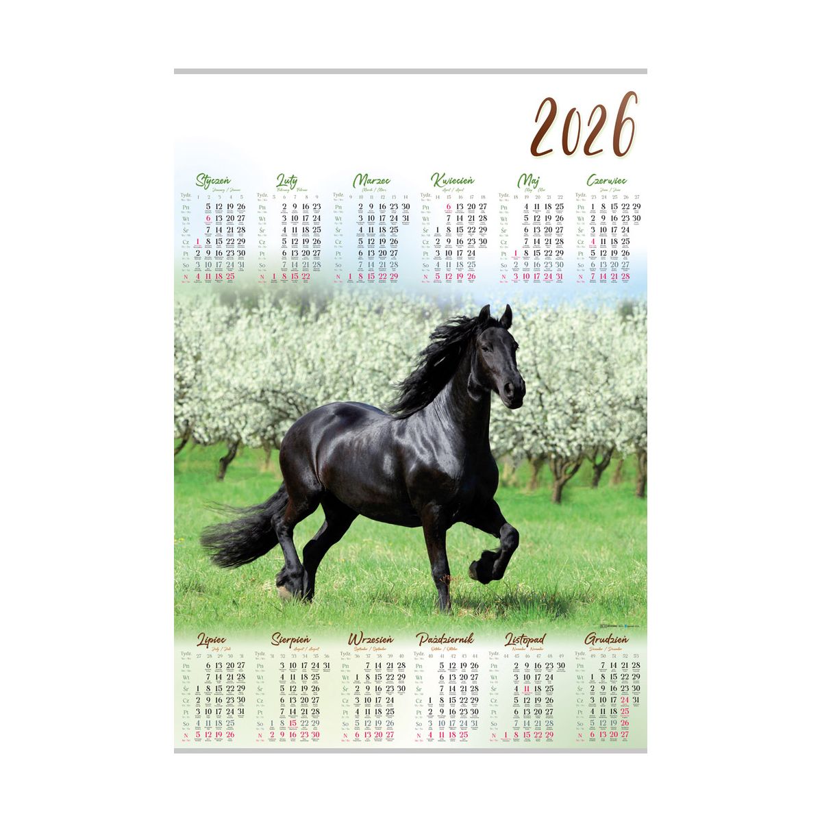 Kalendarz ścienny (401000) k:2915-377 KOŃ plakatowy 607mm x 880mm Lucrum (PL12)