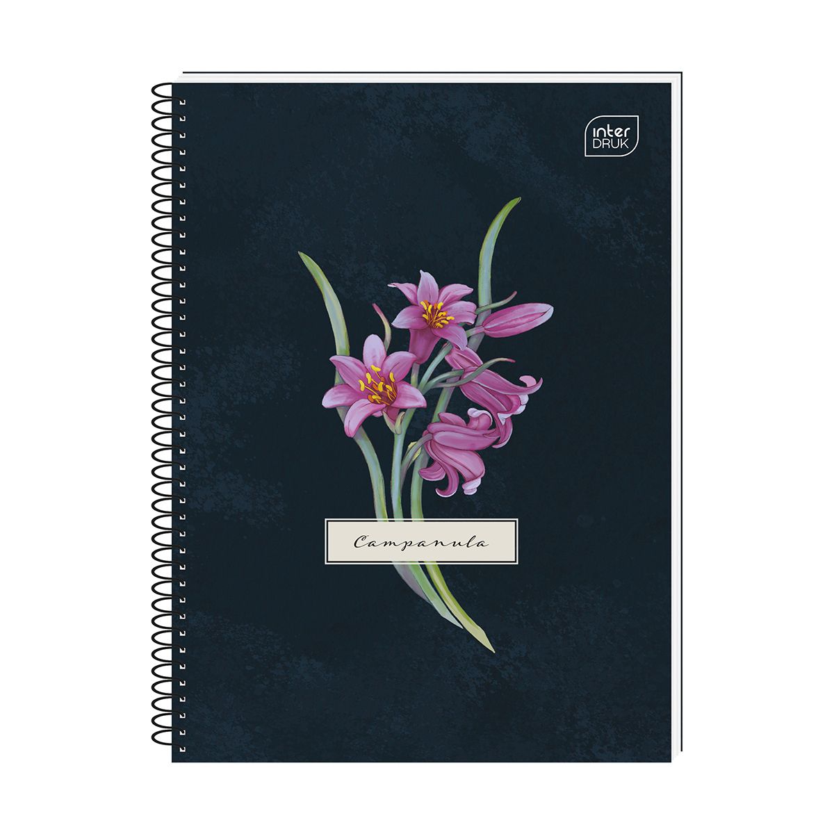 Kołozeszyt (kołonotatnik) Hybrid Fiori A6 80k. 70g krata Interdruk