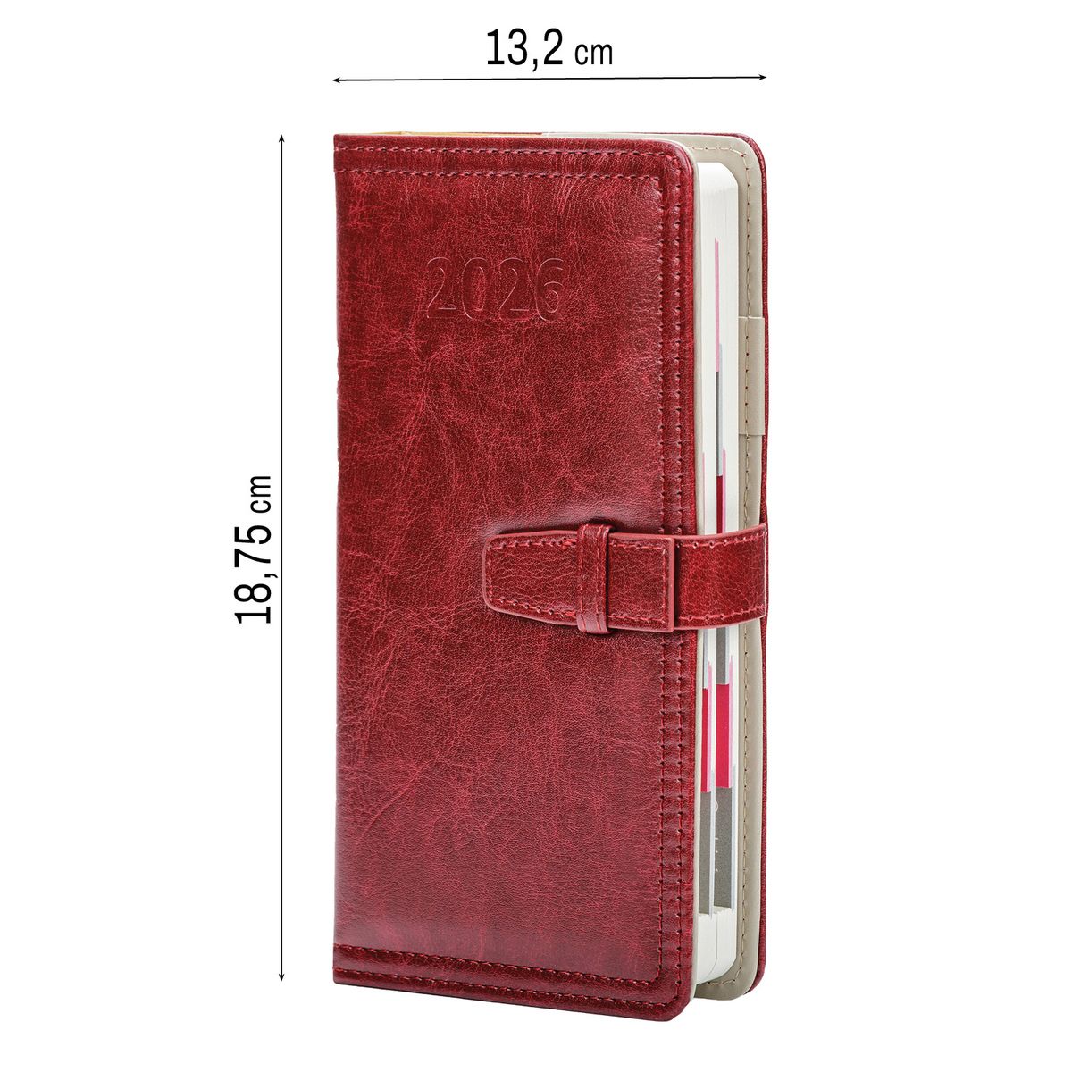 Organizer ORGANIZER 3/4 B5 (mix) Press (dzienny)