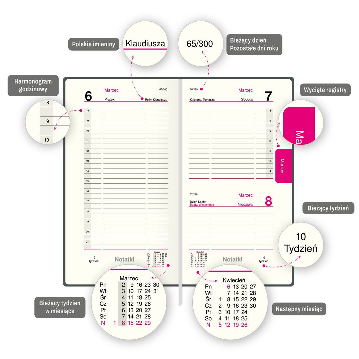 Organizer ORGANIZER 3/4 B5 (mix) Press (dzienny)