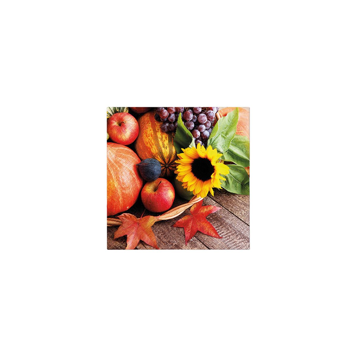 Serwetki Lunch mix bibuła [mm:] 330x330 Paw (SDL127200)