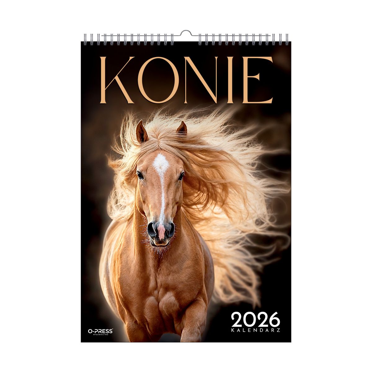 Kalendarz ścienny (401000) k:2915-377 16  stron wieloplanszowy A3 Press (konie)