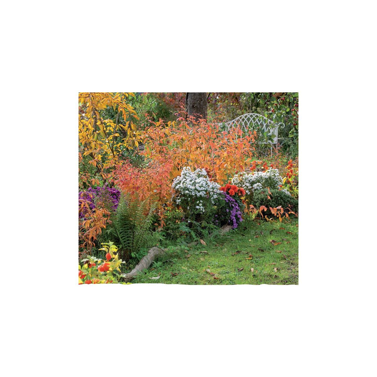 Kalendarz ścienny (401000) k:2915-377 OGRODY RAJSKIE 13-planszowe 2024 320mm x 470mm Lucrum (RW11)