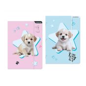 Teczka kartonowa na gumkę Doggy A4 mix Starpak (559706)