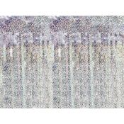 Dekoracja Kurtyna Party, holograficzny, 90 x 250cm Partydeco (CRT-016H)