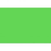 Brystol zielony jasny B1 zielony jasny 270g 20k [mm:] 700x1000 Kreska