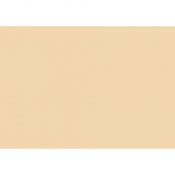 Brystol kremowy B1 kremowy 270g 20k Kreska