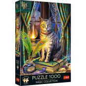 Puzzle Magic Collection Premium Plus Księga Cieni 1000 el. Trefl (10899)