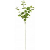 Kwiaty gałązka eukaliptus 63 cm Home And Garden (2006)