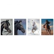 Zeszyt WILD HORSES A5 32k. 70g krata Interdruk