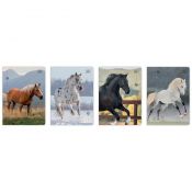 Zeszyt Interdruk WILD HORSES A5 32k. 70g linia kolor
