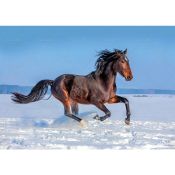 Kalendarz ścienny (401000) k:2915-377 konie w plenerze rodzinny 280mm x 200mm Lucrum (WL10)