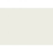 Brystol waniliowy B1 waniliowy 270g 20k [mm:] 700x1000 Kreska