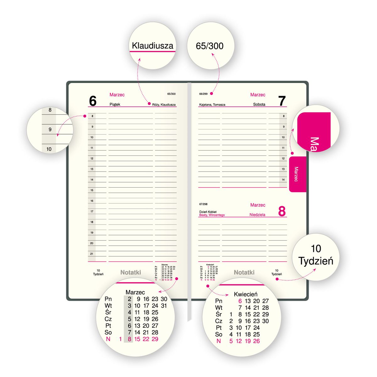 Organizer ORGANIZER 3/4 B5 (mix) Press (dzienny)