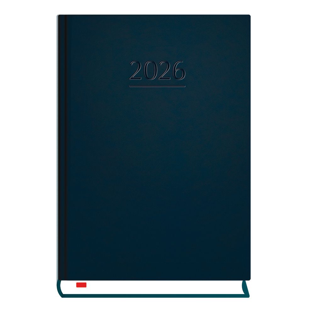 Kalendarz książkowy (terminarz) terminarz B6 Michalczyk i Prokop (T-200V-G)