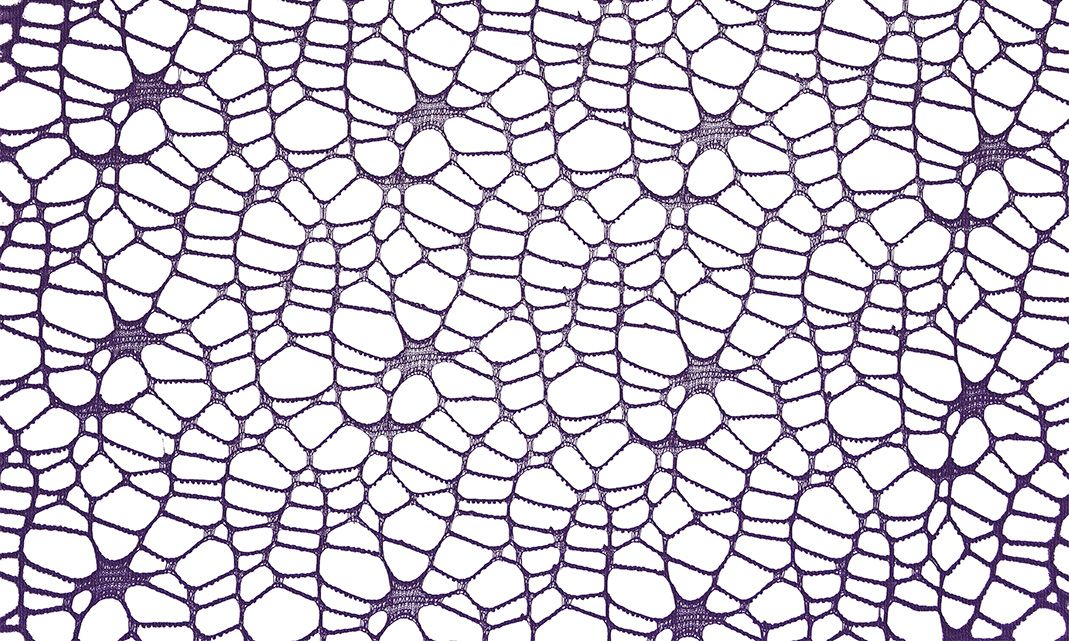Ozdoba materiałowa Craft-Fun Series siatka koronkowa fioletowa Titanum (25CR0331-20)
