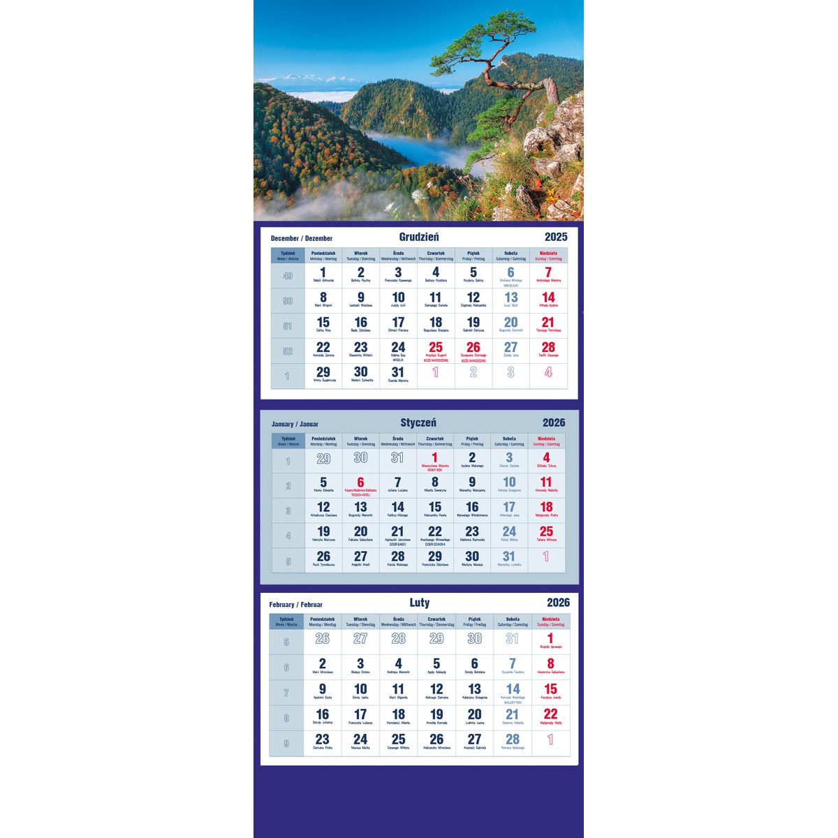Kalendarz ścienny 855mm x 315mm Michalczyk i Prokop (T-105T-01)