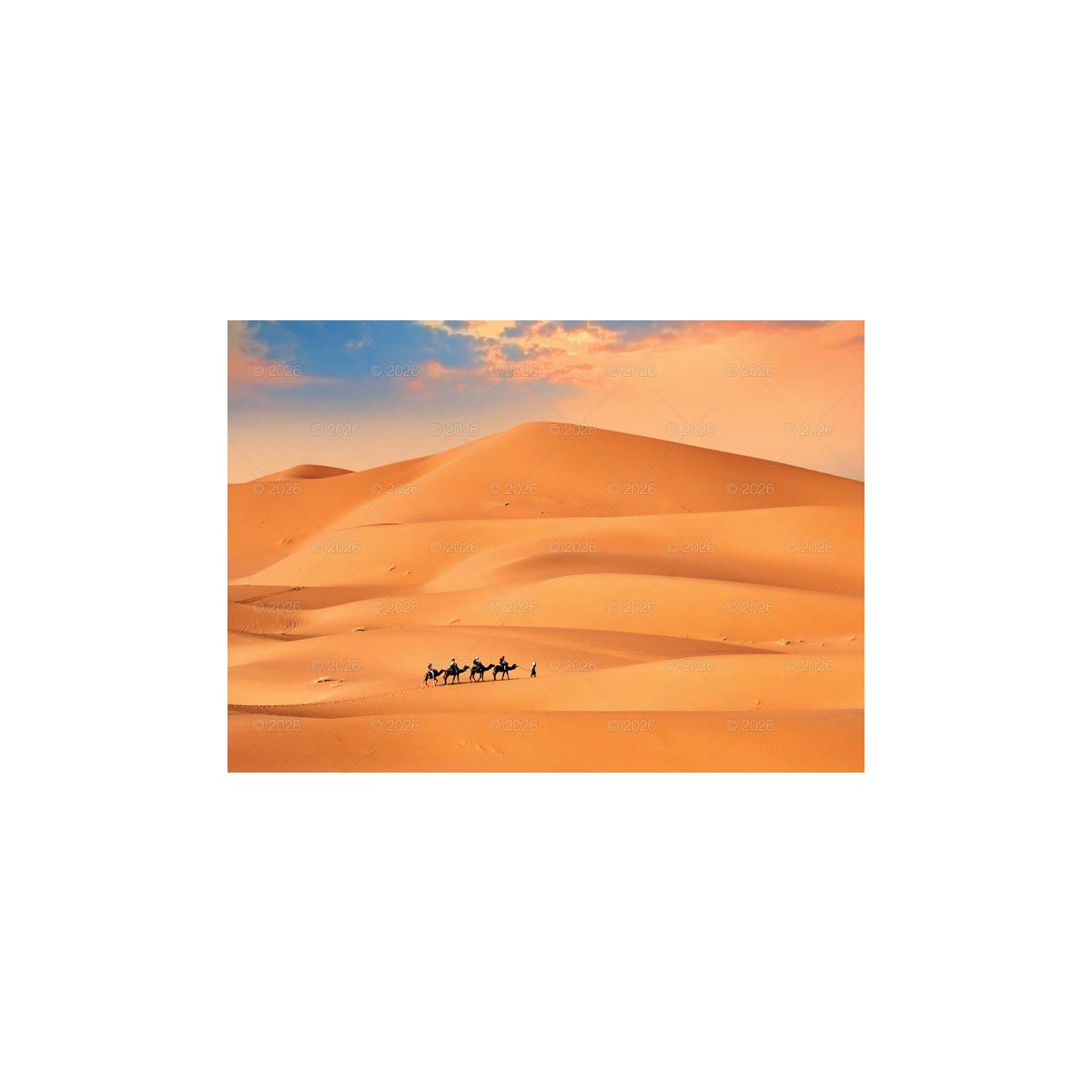 Kalendarz ścienny 13-planszowe 320mm x 470mm Lucrum (RW11)