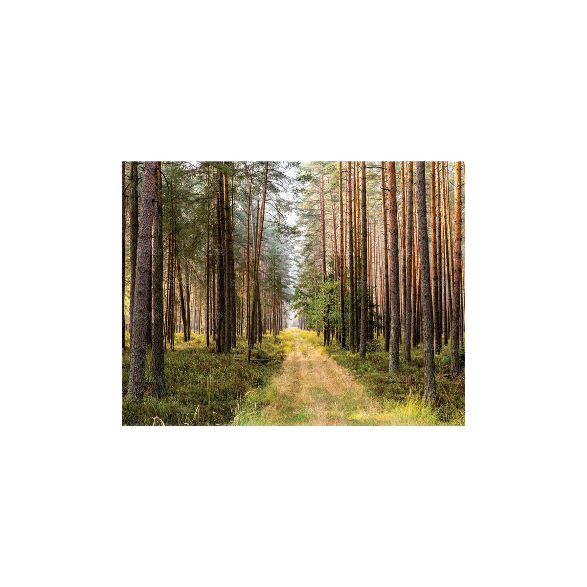 Kalendarz ścienny 13-planszowe 320mm x 470mm Lucrum (RW04)