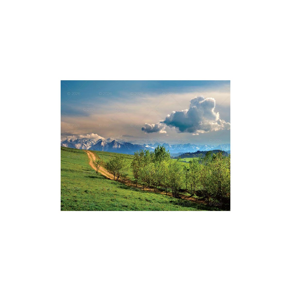 Kalendarz ścienny PEJZAŻE POLSKIE 13-planszowe 320mm x 470mm Lucrum (RW01)