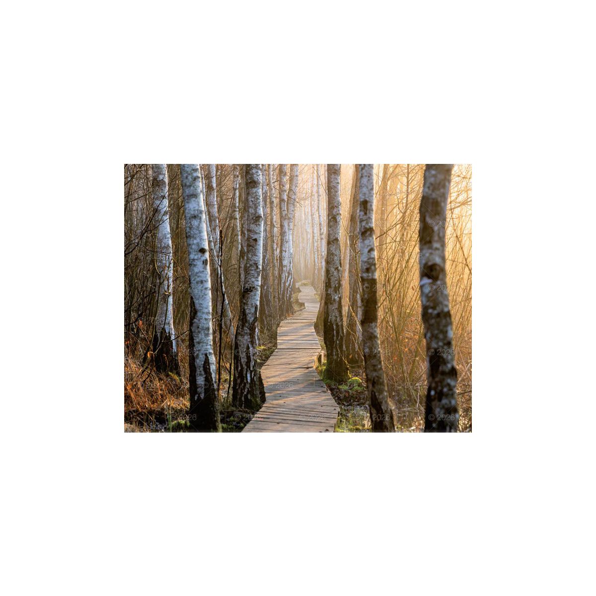 Kalendarz ścienny 13-planszowe 320mm x 470mm Lucrum (RW04)