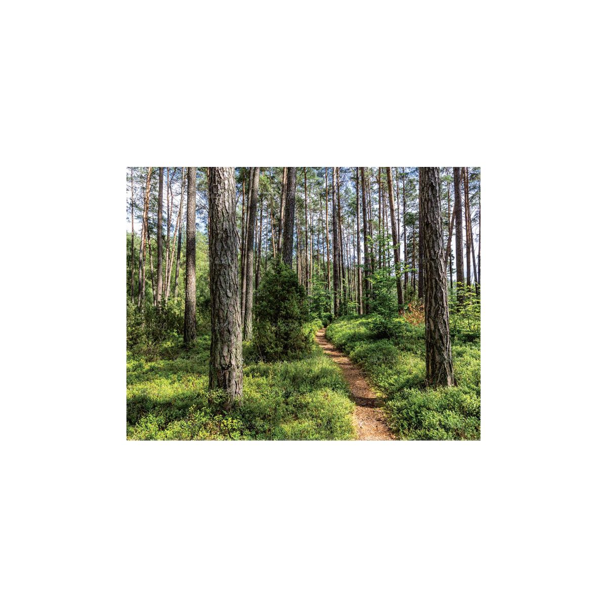 Kalendarz ścienny 13-planszowe 320mm x 470mm Lucrum (RW04)