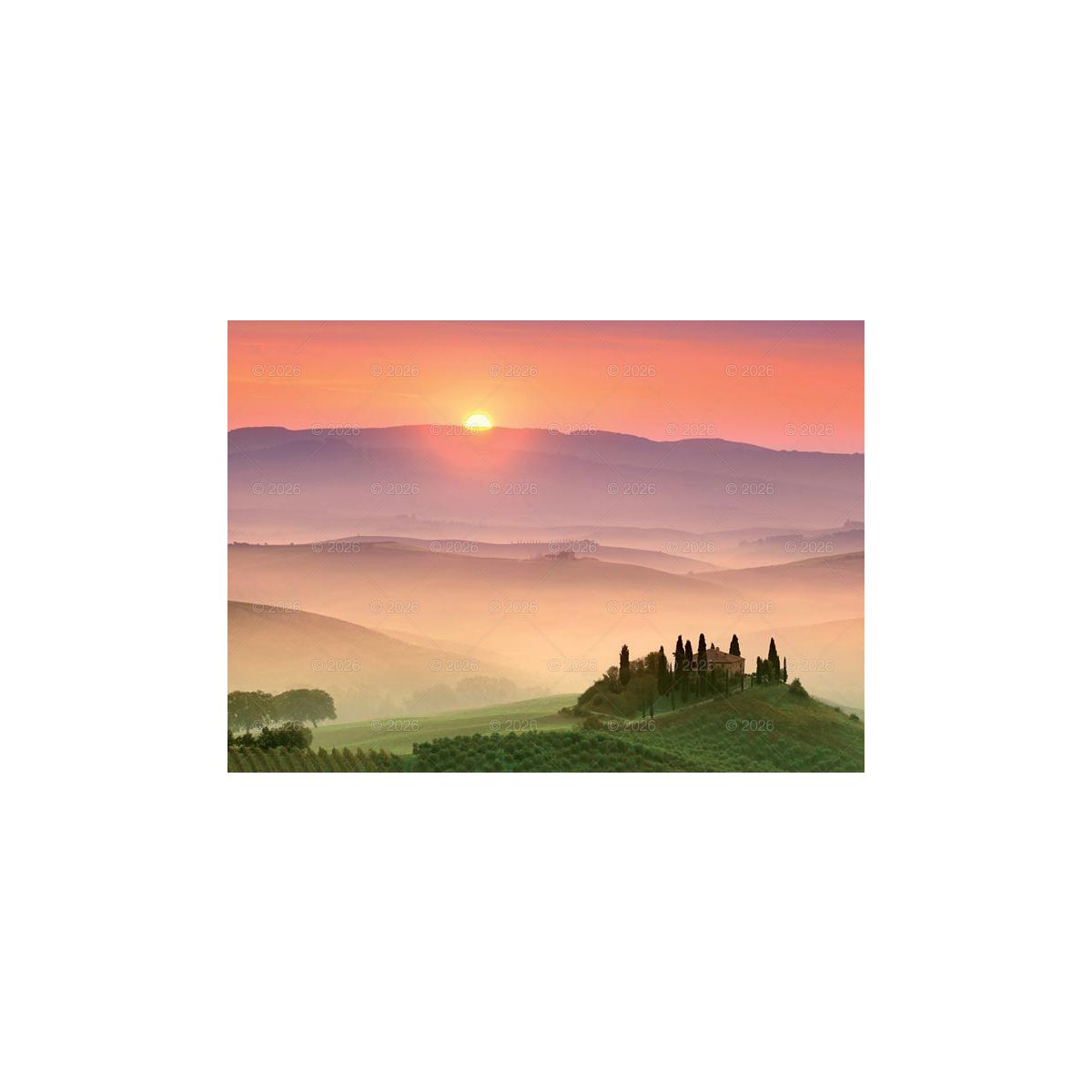 Kalendarz ścienny 13-planszowe 320mm x 470mm Lucrum (RW11)