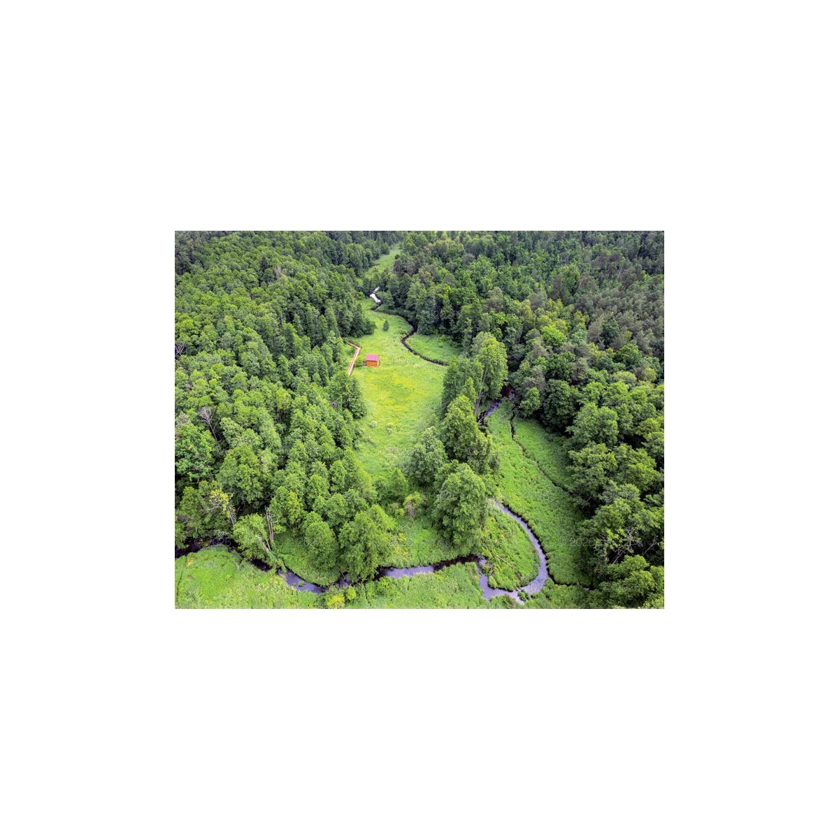 Kalendarz ścienny 13-planszowe 320mm x 470mm Lucrum (RW04)