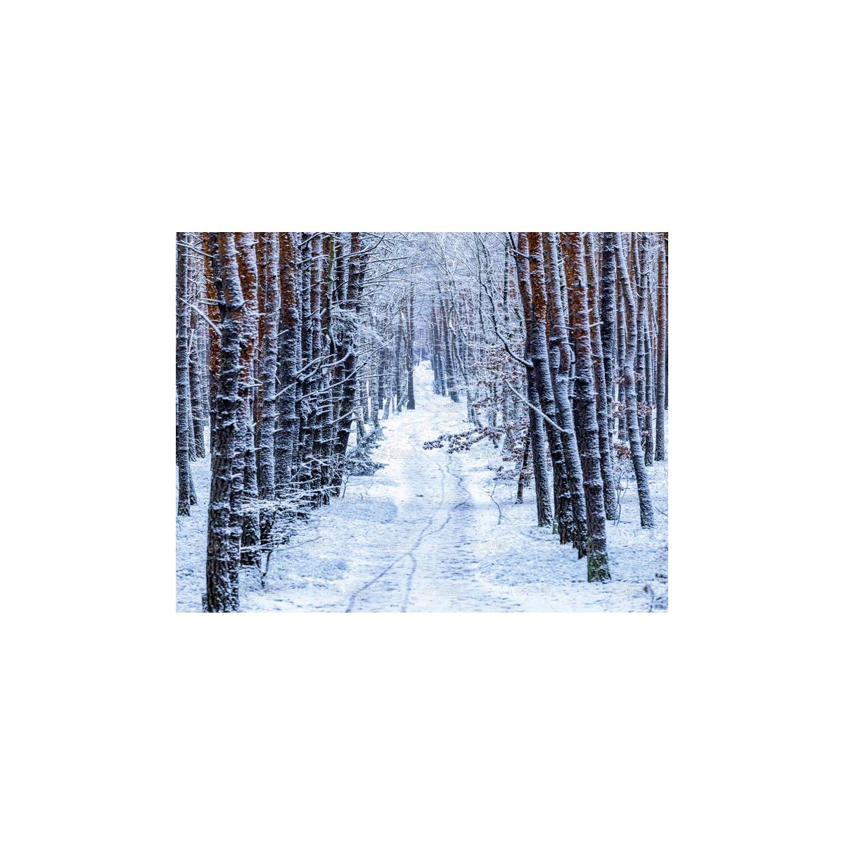 Kalendarz ścienny 13-planszowe 320mm x 470mm Lucrum (RW04)