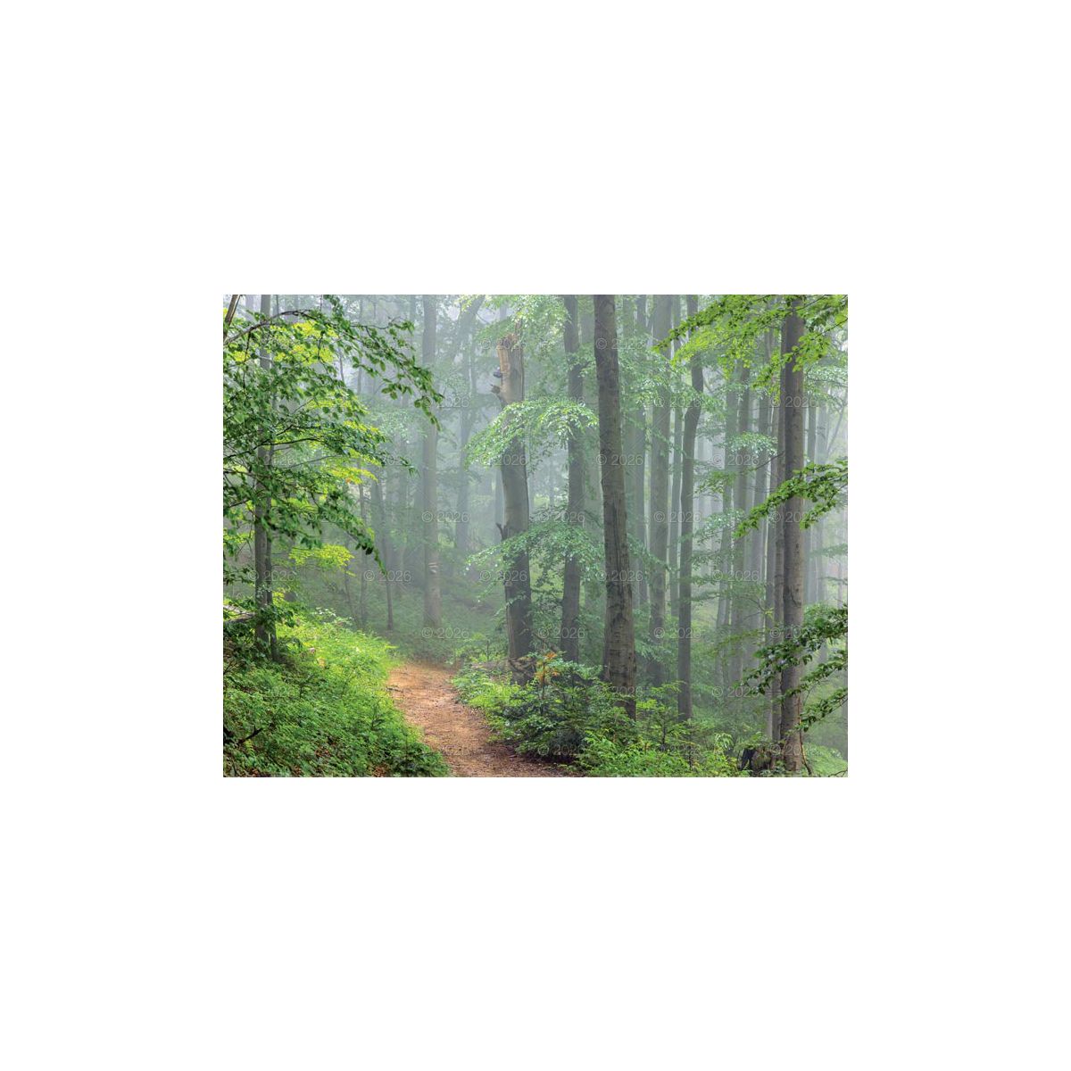 Kalendarz ścienny 13-planszowe 320mm x 470mm Lucrum (RW04)