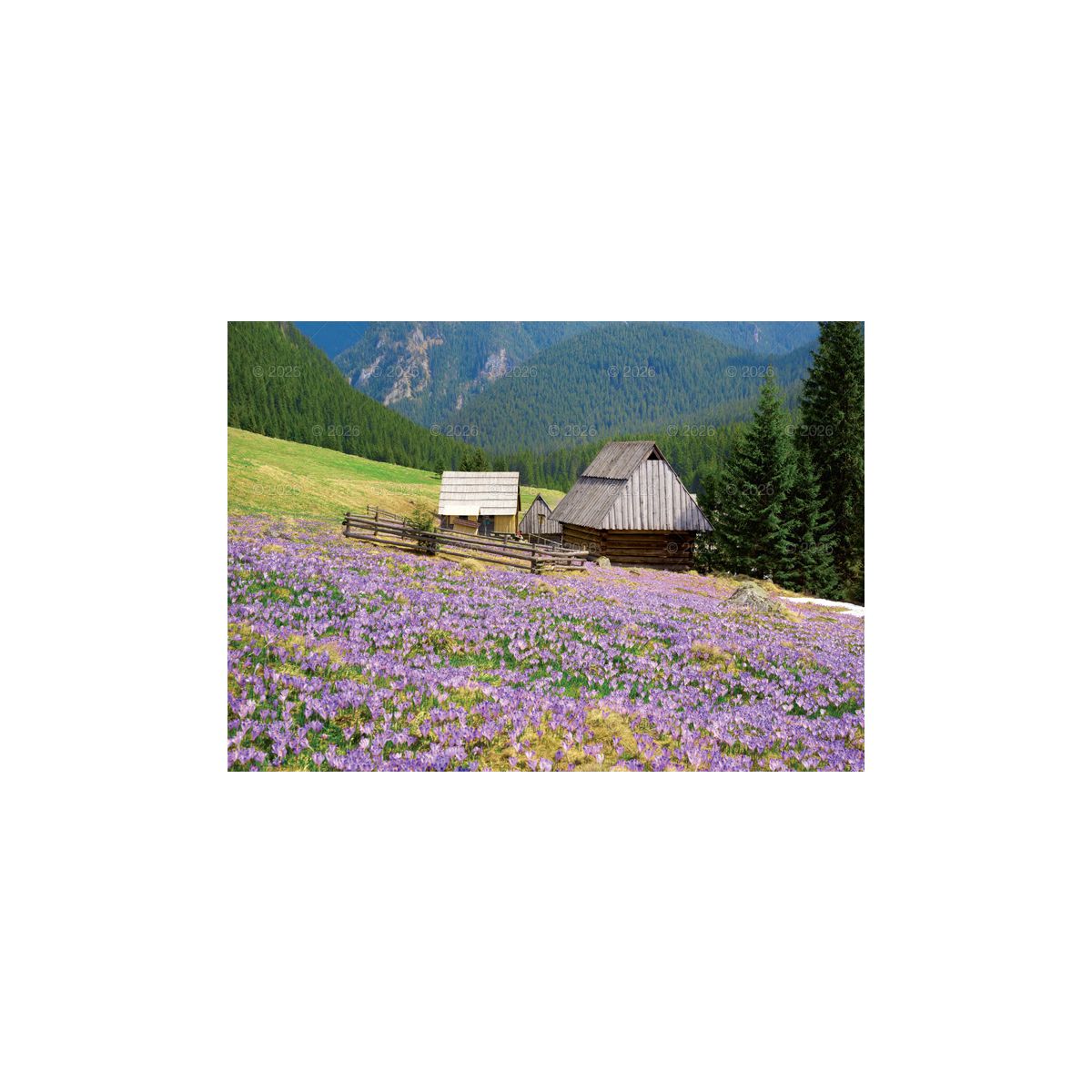 Kalendarz ścienny Tatry i Podhale rodzinny 2023 280mm x 200mm Lucrum (WL04)