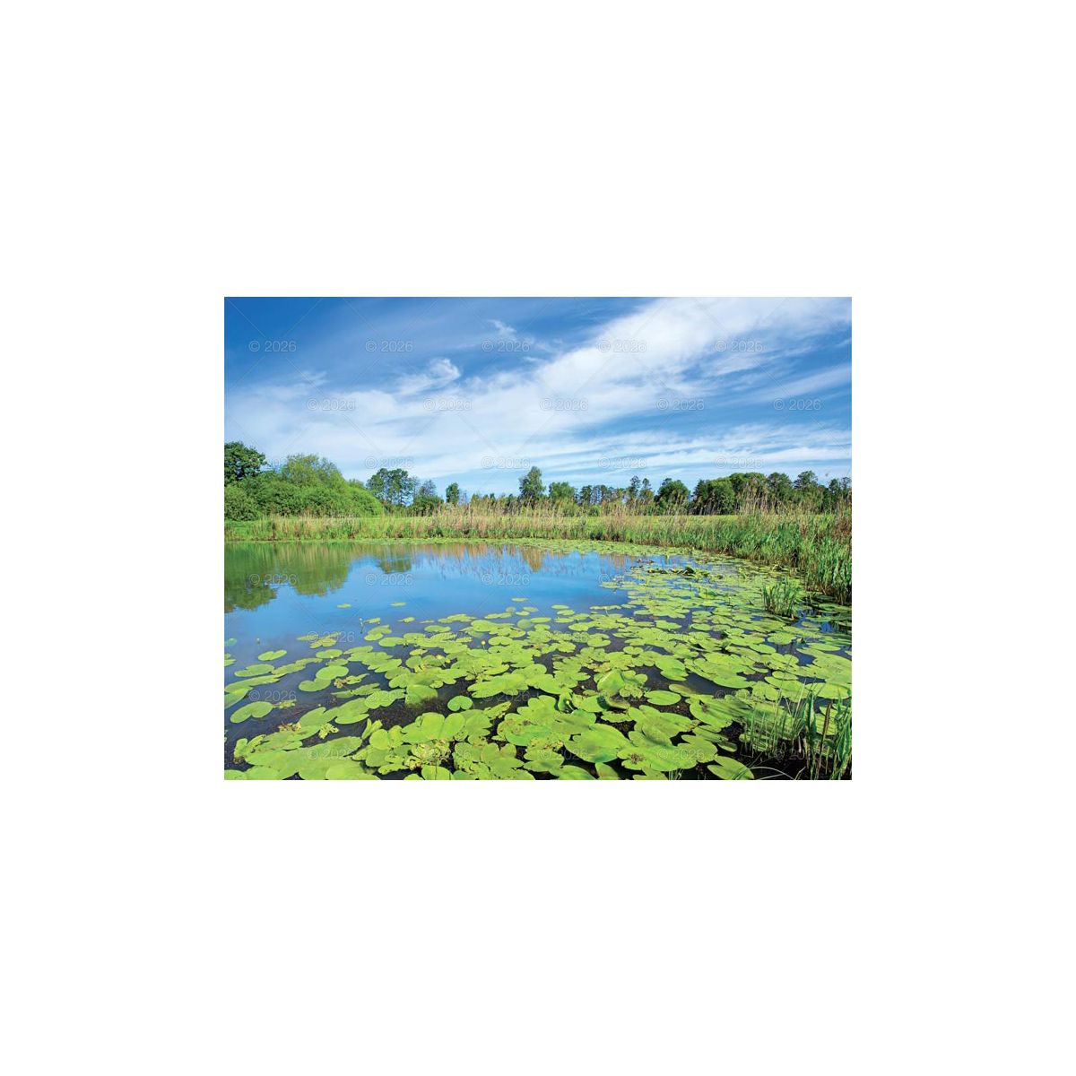 Kalendarz ścienny PEJZAŻE POLSKIE 13-planszowe 320mm x 470mm Lucrum (RW01)