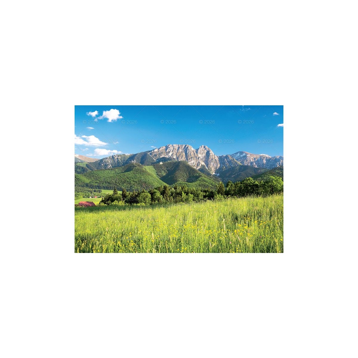 Kalendarz ścienny Tatry i Podhale rodzinny 2023 280mm x 200mm Lucrum (WL04)