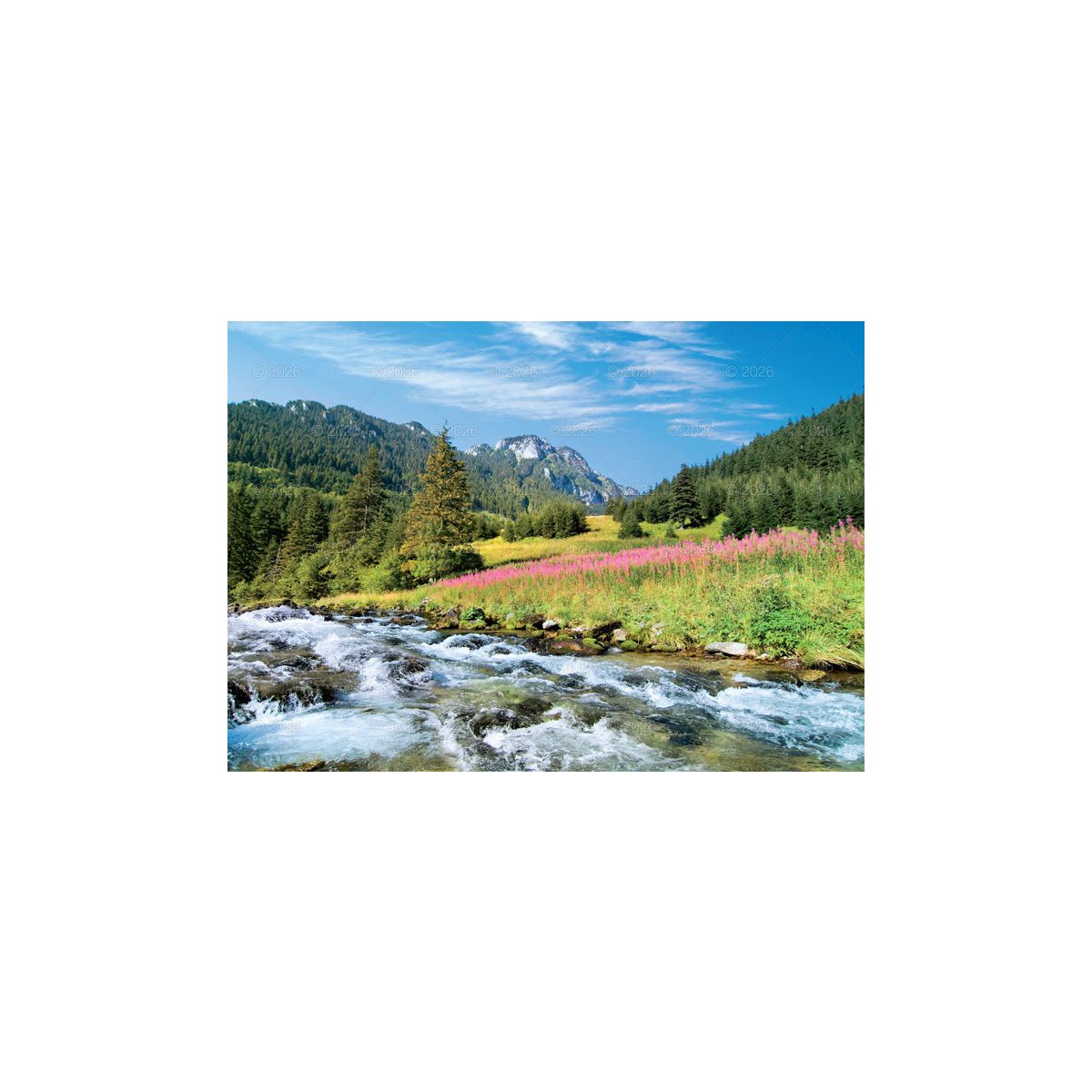 Kalendarz ścienny Tatry i Podhale rodzinny 2023 280mm x 200mm Lucrum (WL04)