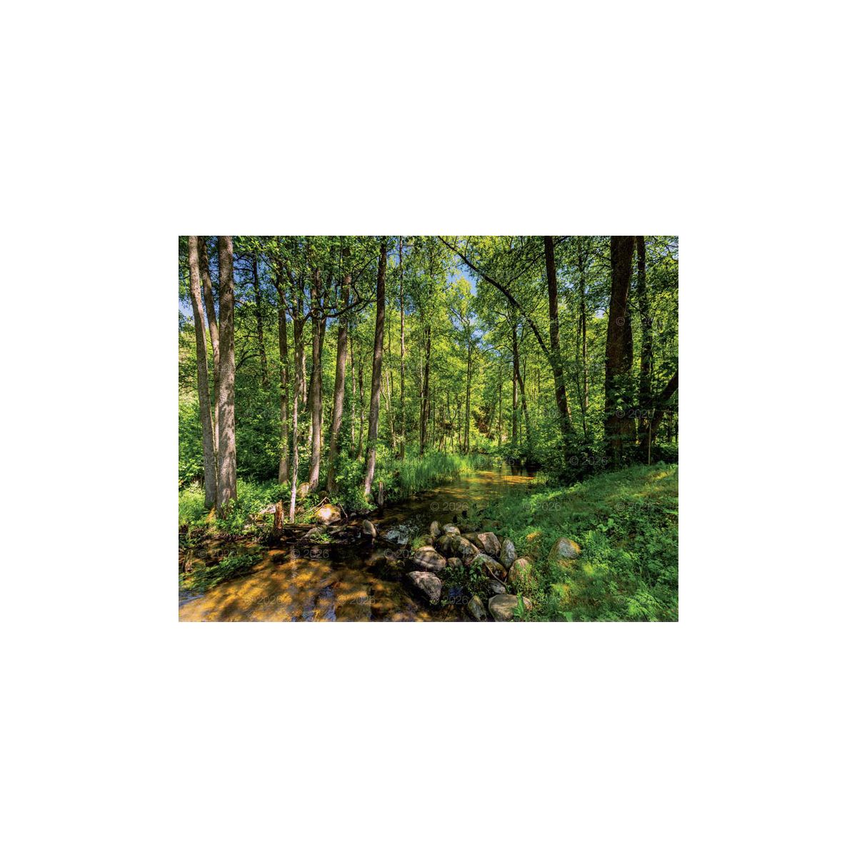 Kalendarz ścienny 13-planszowe 320mm x 470mm Lucrum (RW04)